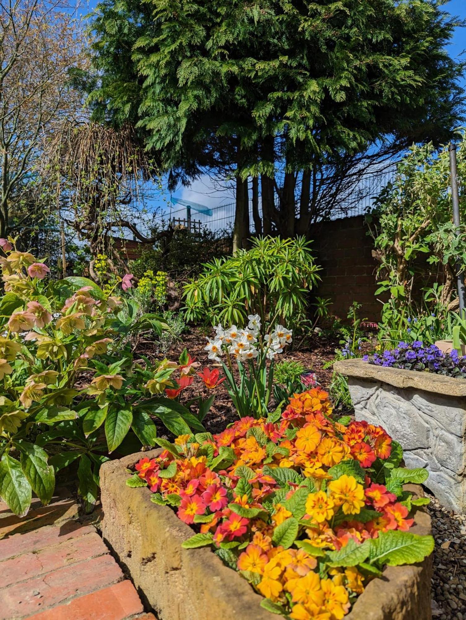 Number 18 Bed & Breakfast Whitby Exterior photo